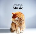 Relax & Chill - Awakening Birds 1