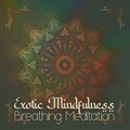 Relaxing Music Oasis - Breathing Meditation