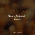Música Relajante para Perros、Masajes Spas、Sonido de lluvia - Serendipia