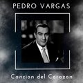pedro vargas - 16 anos