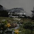 Massagem、Relajante Musica、Entrenamiento Autògeno y Meditación Specialistas - Mareas Galácticas