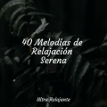 Musica Relajante Specialistas & Musica Relajante、Canción de cuna、Especialistas de Musica para Dormir - Sellador De Paz