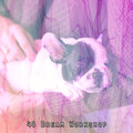 Mother Nature Sound FX - Bound by Bed