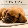 Música Para Perros、Música para gatos、Ambiente para Dormir - Experiencia Con Música Para Perros Pt 1