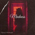 RaiderXD、xSyborg - Madness