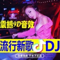 树宝妈妈 - DJ抖音热歌 - 古巨基-爱得太迟 (DJ热歌 remix版)