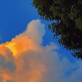 清漪 - 我们会在晚风里遇见