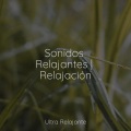 Lluvia Relajante、Canción de cuna、Musica Para Relajarse - Noche Estrellada Nocturna