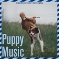 Dog Music Dreams、Relaxmydog - Exciting Mood
