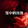 笙烟呀 - 笼中的玫瑰