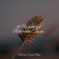 Rising Higher Meditation、Relaxing Mindfulness Meditation Relaxation Maestro、Deep Sleep Music Academy - Peaceful River Waters