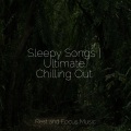 Shakuhachi Sakano、Massage Tribe、Academia de Música para Massagem Relaxamento - Mind & Spirit