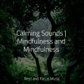 Sleep Waves、Música Zen Relaxante、Especialistas de Musica para Dormir - Soul Release