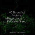 Musica para Massagem Especialistas、Preschool Kids、Massage Therapy Music - Dream Drones