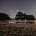 Yoga Namaste、Relaxing Music Therapy、Calming Sounds - Midnight Showers