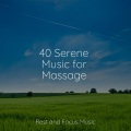 Meditation Zen、Deep Sleep Music Academy、Sounds of Nature White Noise Sound Effects - Pure Tranquillity