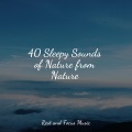 Soothing Chill Out for Insomnia、Musique Zen Garden、Best Relaxing Spa Music - Chakra Blooms