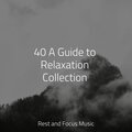 Relaxed Minds、Zen Meditate、Meditative Music Guru - Calm Waters