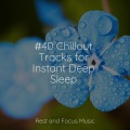 Ambient Forest、Meditative Music Guru、Musica para Massagem Especialistas - Celestial Moods