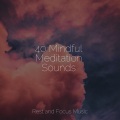 Meditação Yoga、Reiki Music、Soothing White Noise for Infant Sleeping and Massage - Divine Speaking