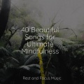 Sleep Meditation Dream Catcher、Oasis de Détente et Relaxation、Exam Study Classical Music - Fall Time