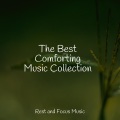 Ambient Music Therapy、Meditation、Academia de Música para Massagem e Relaxamento - Celestial Echoes