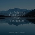 Oasis de Détente et Relaxation、Binaural Beats Brainwave Entrainment、White Noise Sleep Sounds - Sleep Soundtrack