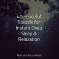 Entspannungsmusik Oase、Deep Sleep Meditation、Reiki Tribe - No Noise