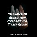 Soothing Chill Out for Insomnia、Deep Sleep Music Experience、Música de la Naturaleza - Campground Mellow