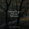 Mindfulness Meditation World、Binaural Beats Isochronic Tones Lab、Massagem - Inner Reflections