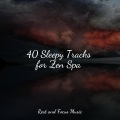 Bedtime Baby、Lullabies for Deep Meditation、Childrens Music - Silent Moonlight