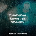 Powerthoughts Meditation Club、Sounds of Nature White Noise for Mindfulness Meditation and Relaxation、Tinnitus Aid - Relaxed Sunday