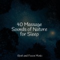 Tranquil Music Sound of Nature、Massage Tribe、Binaural Beats - Nighttime Peace