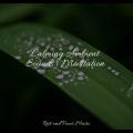 Studying Music、Meditation Awareness、Meditation Music Club - Orion's Belt