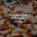 Entspannungsmusik Meer、Guided Meditation Music Zone、The Sleep Specialist - Rocky Beach