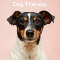 Calming for Dogs、Sleepy Dogs、Dog Music Club - Sunrise Balance