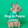 Calming for Dogs、Sleepy Dogs、Dog Music Club - Destination Earth