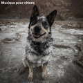 Musique pour Chiens、Musique Relaxante pour Chiens、Dog Music Club - Melody