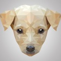 Calming for Dogs、Sleepy Dogs、Dog Music Club - Melody