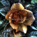 Nature Recordings - Restful Massage