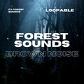 Brown Noise Sounds、FX Forest Sounds、Brown Noise Baby - Loopable - Graceful Green