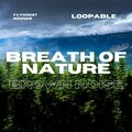 Brown Noise Sounds、FX Forest Sounds、Brown Noise Baby - Dribbling Stream - Brown Noise, Loopable