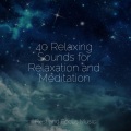 Saludo al Sol Sonido Relajante、Study Music & Sounds、Kings of Nature - Peace Within
