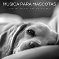 Música Para Perros、Flor De Loto、La mejor musica instrumental - Calmos Cuencos De Perros