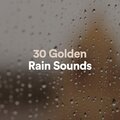 Rain Sounds - Authoritative Rain