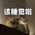 耳边伴音师 - Sound Library XL - A Rainy Day