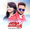 Syed Rajon、Bristy - Chai Sudu Chai Tomake Je Chai