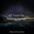 Academia de Meditação Buddha、Entspannungsmusik Meer、Alpha Waves - Calming Echoes