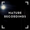Natural Sample Makers、Nature Recordings、Natural Sound Makers - Peaceful Chirps