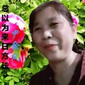 尹金凤 - 总以为来日方长